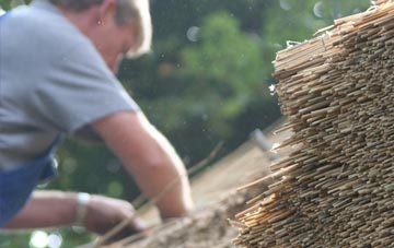 professional Dartmouth thatchers